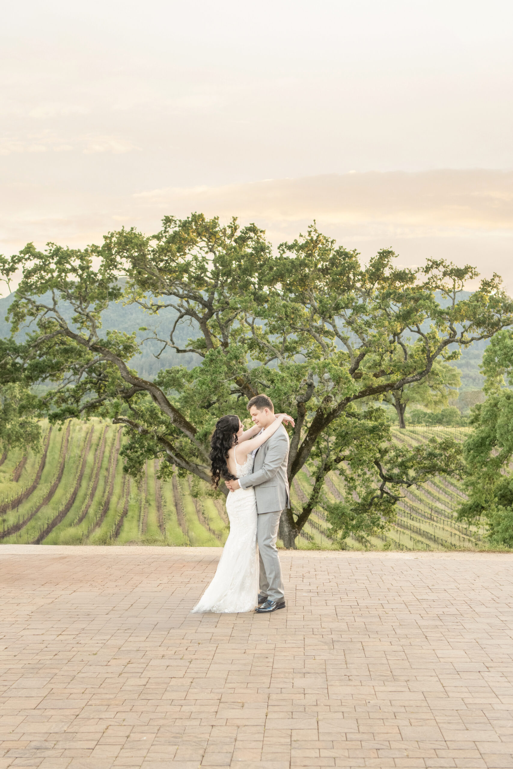 bride and groom married in vineyard, napa valley